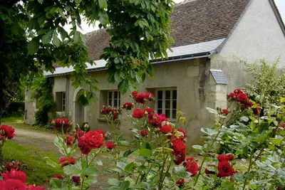 Jardin de l'établissement Domaine de l'Augeonnière