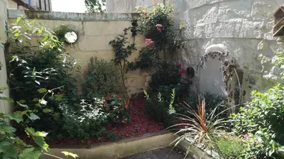 Jardin de l'établissement Brume de Loire
