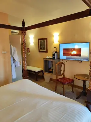 Télévision ou salle de divertissement dans l'établissement Hostellerie Les Hauts De Sainte Maure
