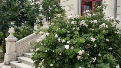 Jardin de l'établissement Villa Alecya
