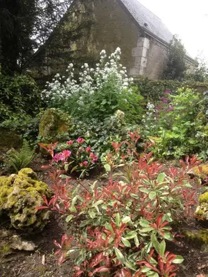 Jardin de l'établissement Le Belvédère,studio