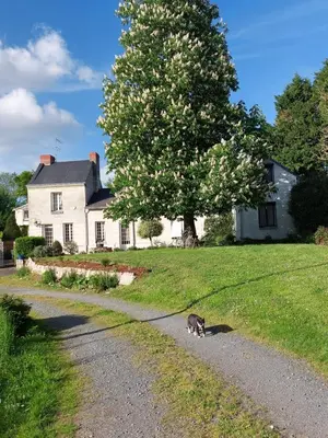 Jardin de l'établissement Chambres d'Hôtes de l'Ile du Saule