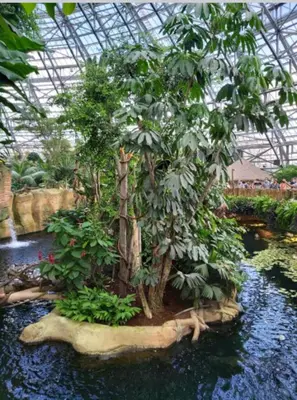 Jardin de l'établissement le gîte le CAMÉLIA