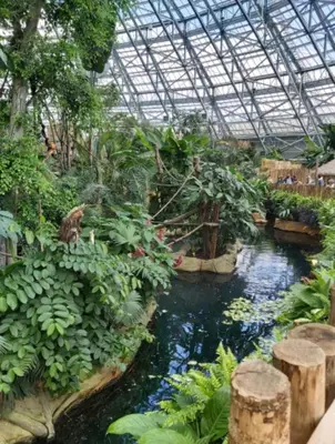 Jardin de l'établissement le gîte le CAMÉLIA