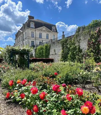 Jardin de l'établissement Châtel Rose - Historical Centre with Garden