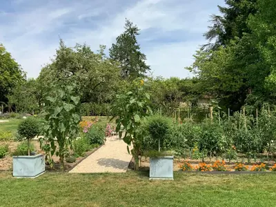 Jardin de l'établissement Le Gite du Chemin Vert