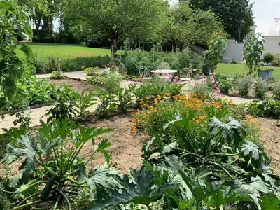 Jardin de l'établissement Le Gite du Chemin Vert