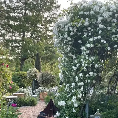 Les Jardins Haute Couture