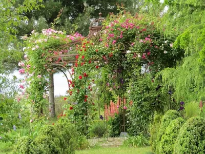 Jardin de l'établissement Gîte confortable avec grand jardin privé et WIFI - FR-1-381-494