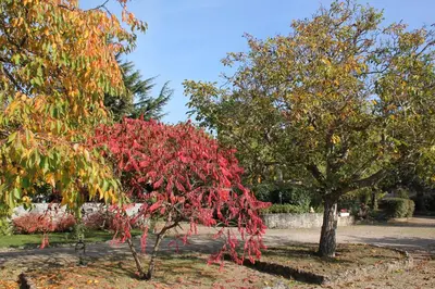 Jardin de l'établissement Le Relais de la Tour