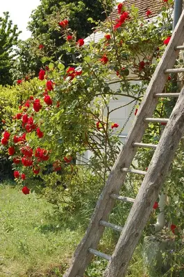 Jardin de l'établissement La Grange