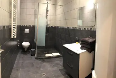 Salle de bains dans l'établissement Appartement porte chartraine