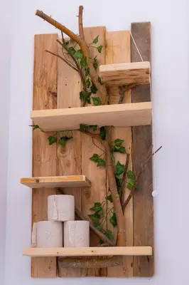 Plan de l'établissement L'Amazonia - Domaine Tropical