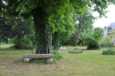 Jardin de l'établissement L'Orangerie du Château - LE NID - GITE 2 Personnes