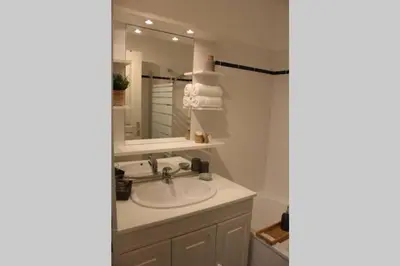 Salle de bains dans l'établissement Appartement vue imprenable sur la Loire !!!