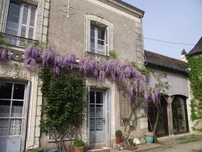 Jardin de l'établissement Chambre d'hôtes Le Vaujoint