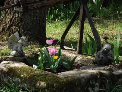 Jardin de l'établissement Chambre d'hôtes Le Vaujoint