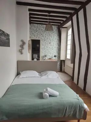 Un ou plusieurs lits dans un hébergement de l'établissement Lovely T2 in the heart of Tours