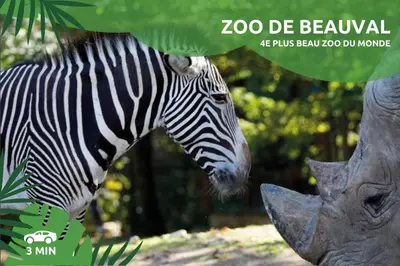 Animaux dans la maison de vacances ou à proximité