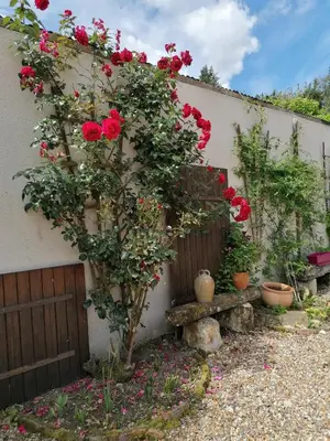 Jardin de l'établissement Au bout du chemin
