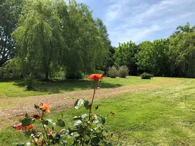 Jardin de l'établissement La Tour de la Conterie