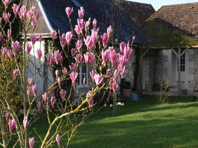 Jardin de l'établissement Le Petit Villandry