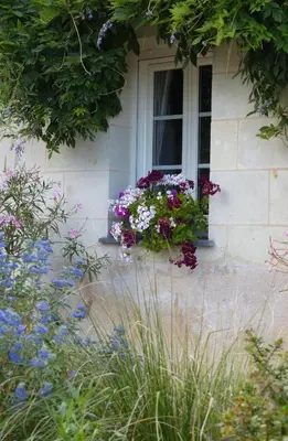 Jardin de l'établissement Pergoloire