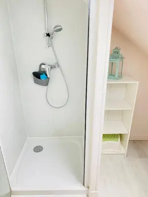 Salle de bains dans l'établissement Les Mariniers Chambres d'Hôtes avec aire de jeux proche du ZooParc de Beauval - Spa nordique en option