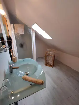 Salle de bains dans l'établissement Les Mariniers Chambres d'Hôtes avec aire de jeux proche du ZooParc de Beauval - Spa nordique en option