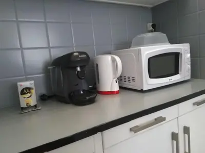Cuisine ou kitchenette dans l'établissement Appartement hypercentre au 1er, ZOO - 24h du Mans