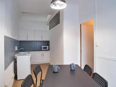 Cuisine ou kitchenette dans l'établissement Appartement hypercentre au 1er, ZOO - 24h du Mans