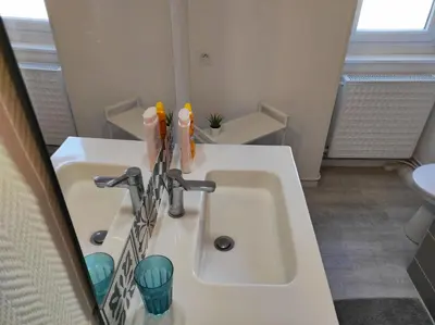 Salle de bains dans l'établissement Maison avec jardin en centre ville - proche gare et circuit 24h du mans