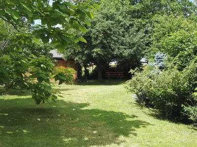 Jardin de l'établissement Maison en bois avec jardin, idéal randonnée, fibre haut débit, équipements bébé près du Mans et Tours - FR-1-410-195