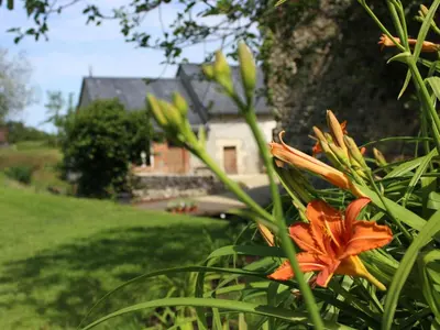 Jardin de l'établissement Gîte de charme proche du Mans pour 6 pers., commerces à pied, tout équipé - FR-1-410-258