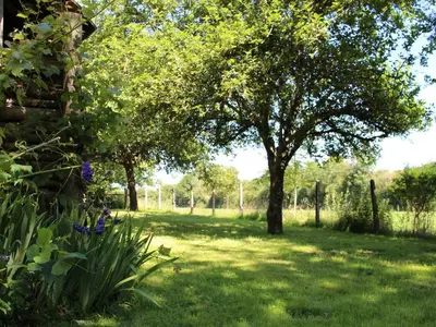 Jardin de l'établissement Maison de campagne avec grand jardin, cheminée, vélos et wifi à Berfay - FR-1-410-242