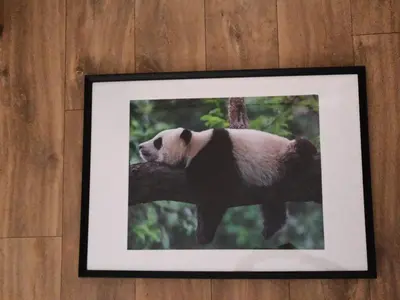 Plan de l'établissement A 4 min du Zoo de Beauval Chambre 2 personnes et bureau 1er étage