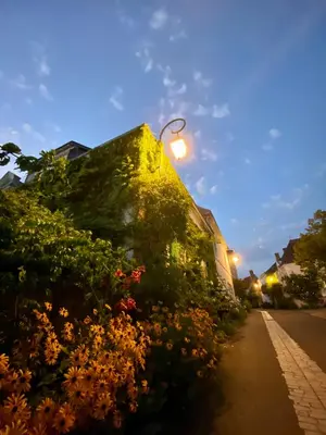 Jardin de l'établissement Le Lavoir aux Roses by Gîtes Sud Touraine