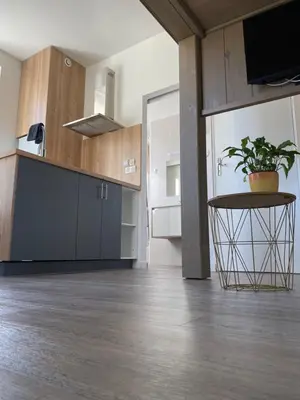 Cuisine ou kitchenette dans l'établissement Studio cocoon