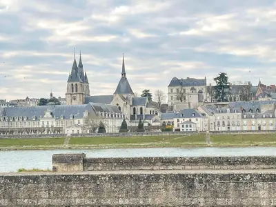 Vue générale sur Blois ou vue de la ville depuis la villa