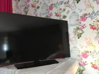 Télévision ou salle de divertissement dans l'établissement Auprès du château