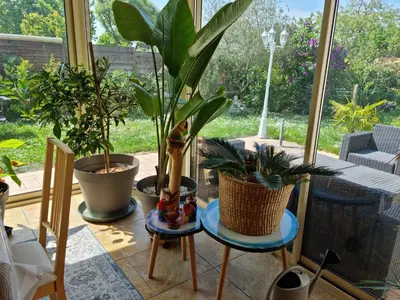 Jardin de l'établissement Gemme de Montlouis