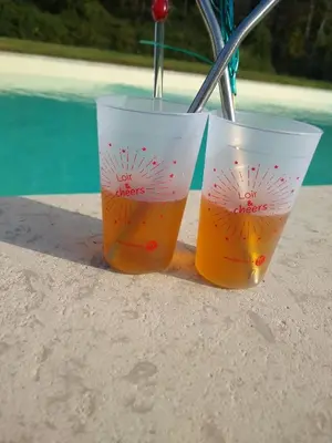 Boissons dans l'établissement Domaine de la Vaudourière