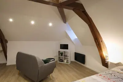 Télévision ou salle de divertissement dans l'établissement Studio neuf cosy La flèche