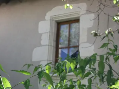 Jardin de l'établissement La Closerie