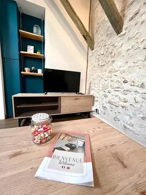 Télévision ou salle de divertissement dans l'établissement Cosy appartement au coeur de Blois, local vélo