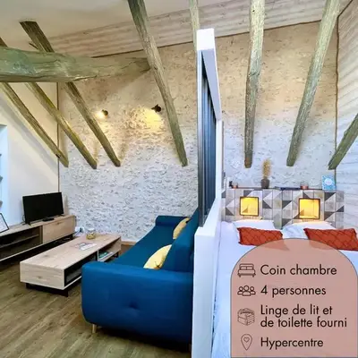 Cosy appartement au coeur de Blois