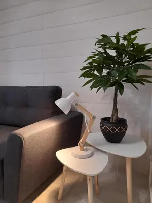 Coin salon dans l'établissement Le cosy d'Amboise