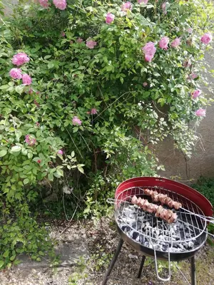 Jardin de l'établissement Maison Bel Être Langeais