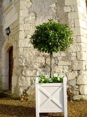 Jardin de l'établissement Manoir Du Bois Noblet