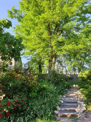 Jardin de l'établissement Le Petit Logis